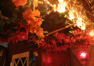 hibiscus_ceiling hibiscus_ceiling