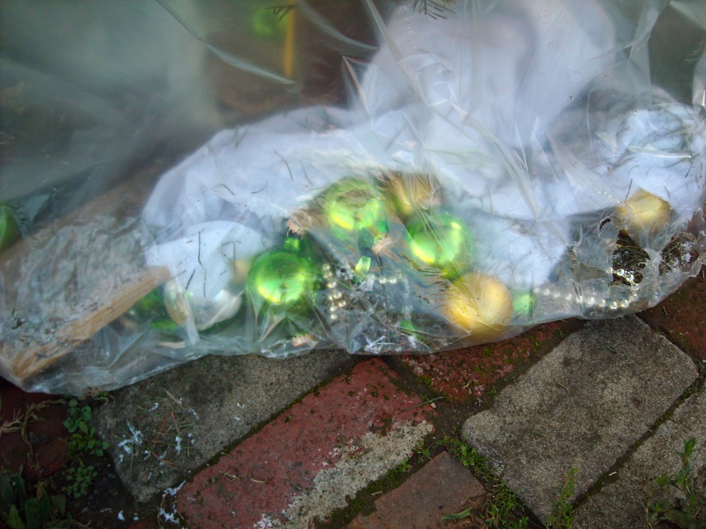 Community photo of the week Curbed Christmas trees Oakland North