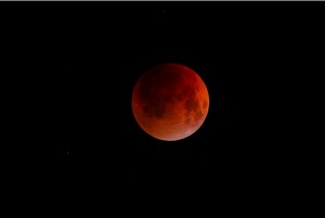 eclipse020208_jung