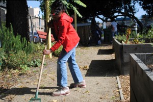rake