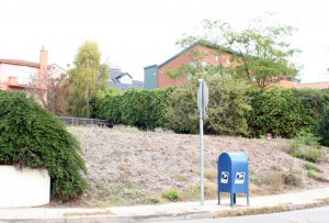 A number of vacant lots exist in the neighborhood because many developers and residents feel it is too expensive to rebuild in the current economy. A number of vacant lots exist in the neighborhood because many developers and residents feel it is too expensive to rebuild in the current economy.