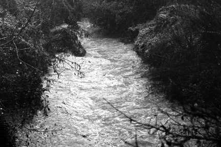 temescal creek
