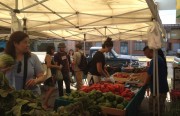Neighbors purchase fruits, vegetables and herbs at the Juneteenth Festival on Saturday.