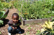 Joesph Harris plays in Acta Non Verba's garden after his elder siblings graduated from the summer program.