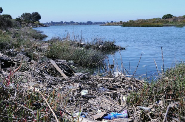 Oakland's Damon Slough was named on of the top five Bay Area's most littered waterways of 2012.