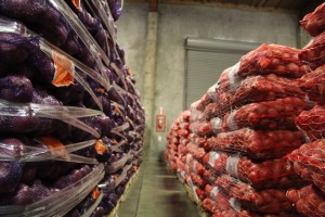 Pallets of onions and potatoes
