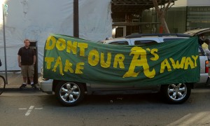 Fans show their support for their hometown team.