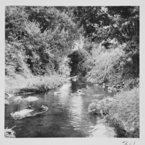 Temescal Creek 1971 2