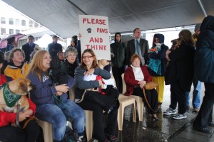 Owners gather with their dogs for a pre-meeting rally.