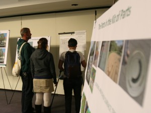The crowd reviews BRT plans on display Wednesday night.