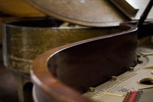 San Francisco Conservatory surplus sale