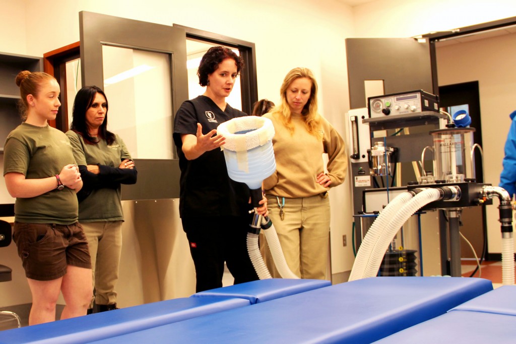 Maria Trenary, a senior veterinary technician at Oakland Zoo, describes an anesthesia mask meant for larger animals like lions, at the grand opening of the zoo's new veterinary hospital on Thursday.