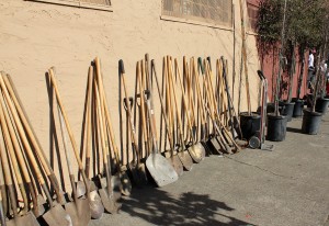 The event, put on by Oakland non-profit Urban Relead, planted a total of about 20 new trees in the West Oakland neighborhood.