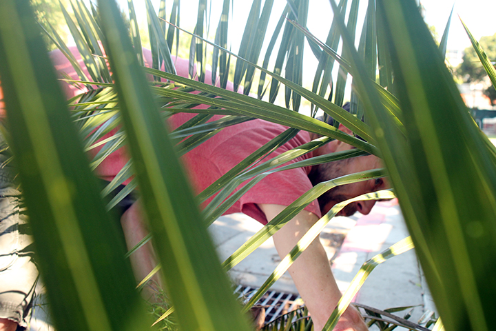 Larry Bragg, volunteer Earth Day Coordinator for the Golden Gate area digs through the bottom of a palm tree to find trash.