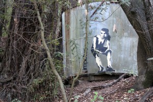 found art at redwood regional park