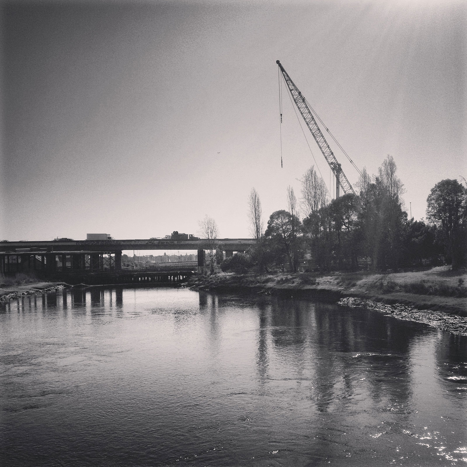 Community photo of the week Laney College Oakland North