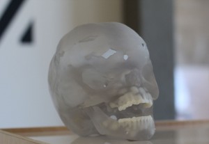 A 3D printed skull prototype