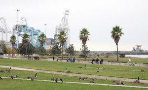 Kids walking across a park