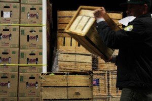 Crates of cucumbers