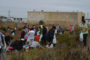 Volunteers clean up the shoreline at the 30th Annual Creek to Bay Day