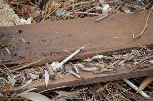 One of many hypodermic needles found on the shoreline during the cleanup day.