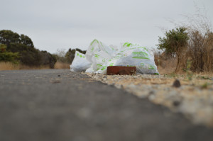 Trash Bags from the cleanup line the pathway to the shoreline.