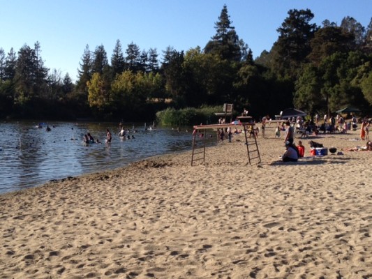 Lake Temescal Reopens After Toxic Scare Oakland North