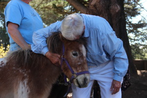Freckles, a six year-old pony, takes part in Sunday's service. Photo by Sanosi Osman.