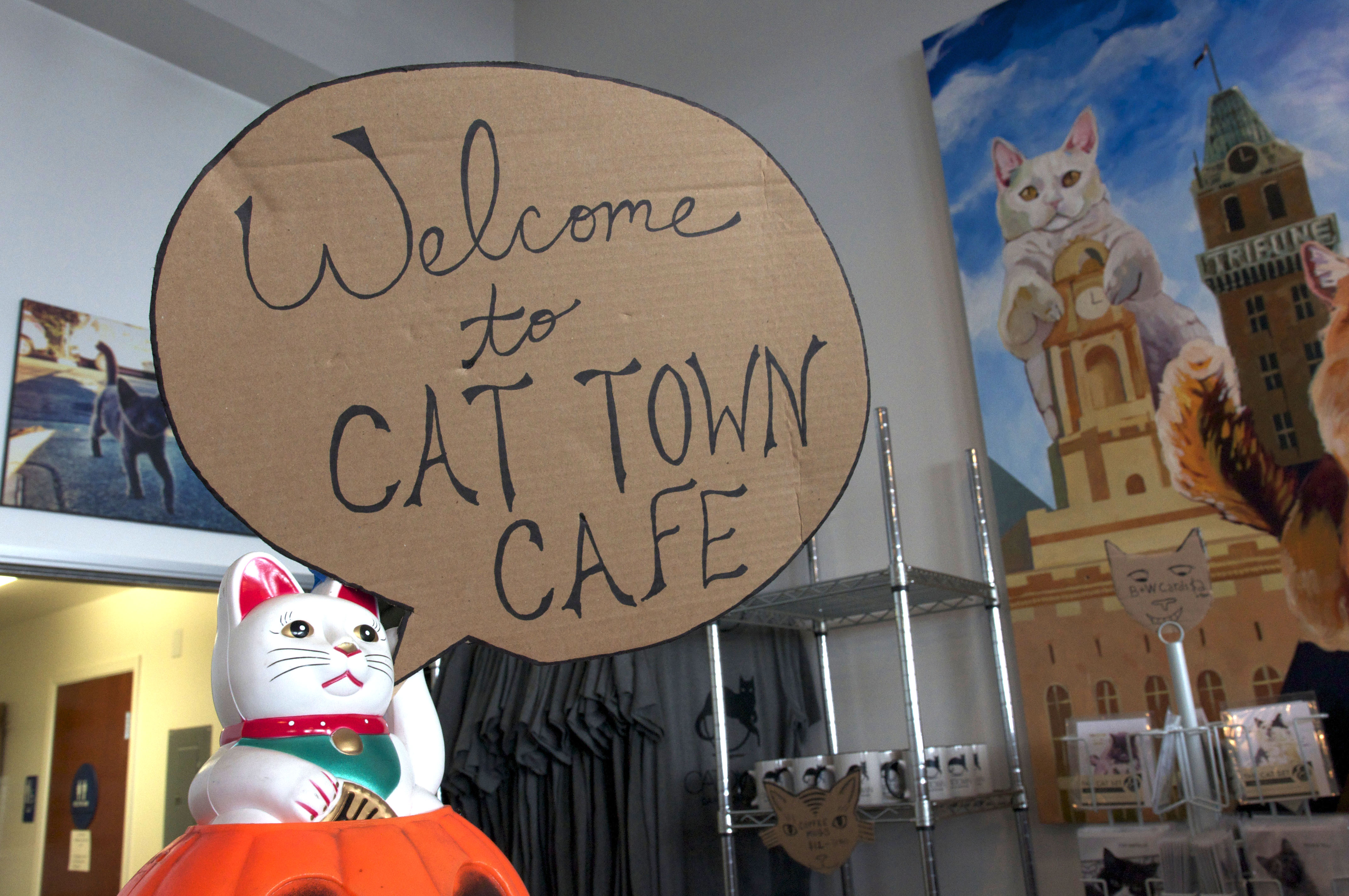 Cat Town Café, nation’s first cat café opens, matchmaking cats and cat