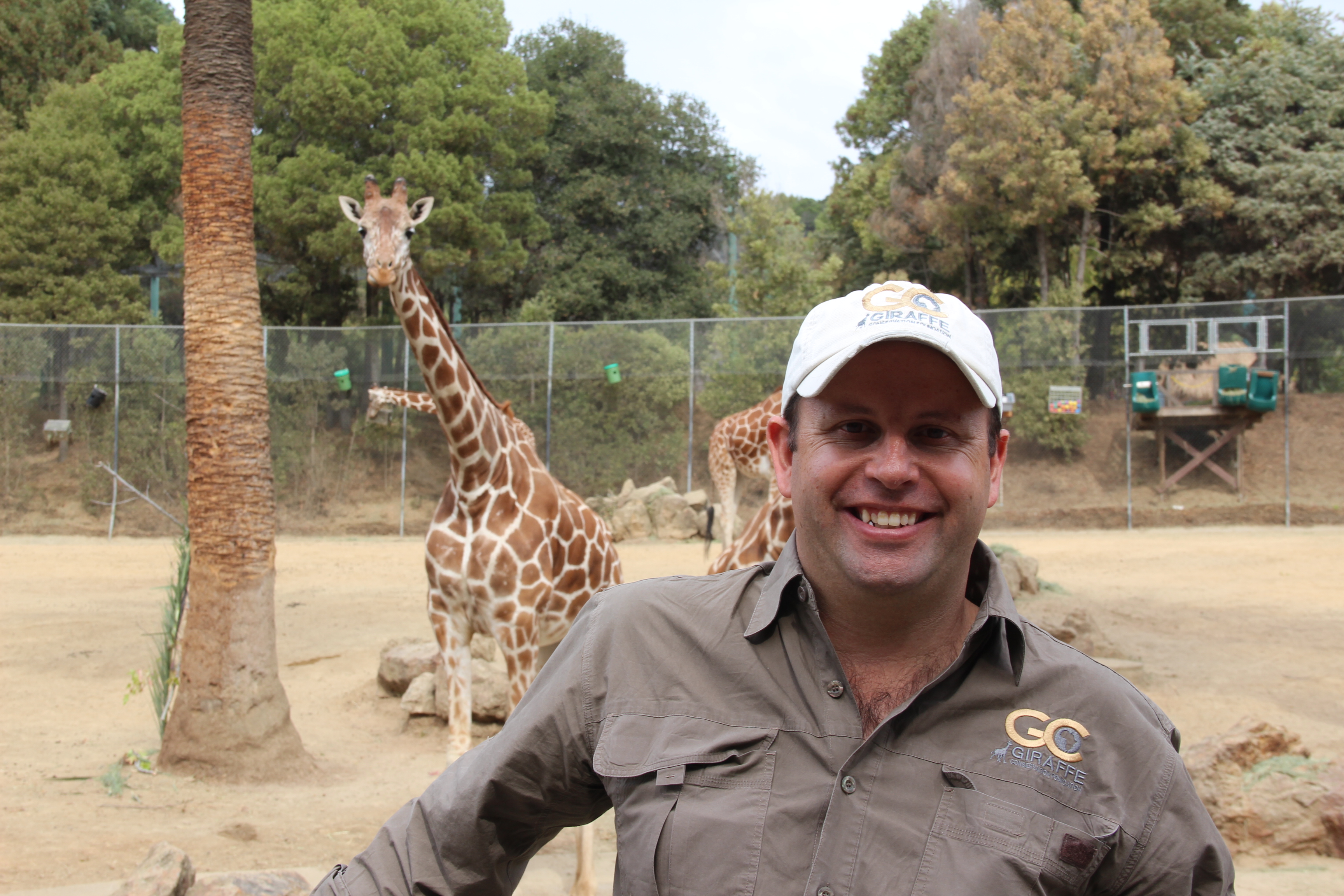 Oakland Zoo Giraffes Happy And Healthy Says Visiting Expert Oakland North