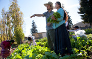 Farmers harvest greens at New Roots Farm at Laney College in Oakland. Photo courtesy of Lori Eanes