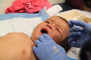 pediatrician oral health