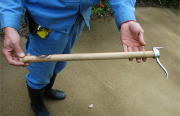 Image of an ankus.