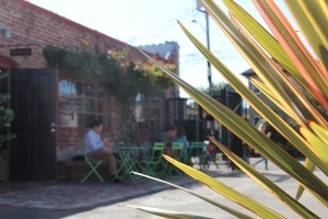 It was a quiet morning in Temescal Alley.