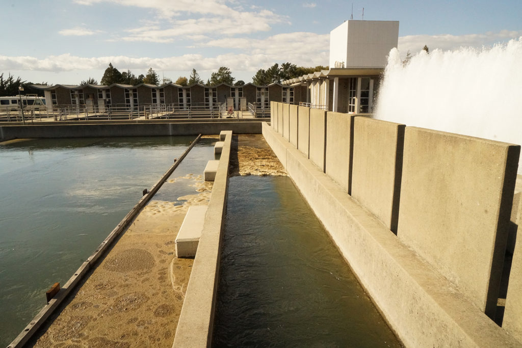 At EBMUD's Sobrante Treatment Plant, water is first aerated in fountains then chemically treated in adjacent tanks.