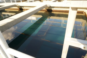 EBMUD's water is now a clear turquoise, ready for filtration, disinfection and distribution.