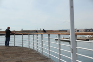 A man looks off into the harbor watching boats go by.