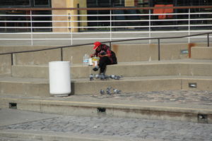 Pigeons surround a woman enjoying her food as she watches the boats go by.