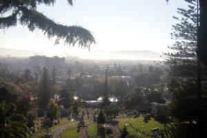 Assuming 1,452 graves per acre and 223 acres in Mountain View, if every grave plot was full (and there were no mausoleums or otherwise extra-large graves) there would be 323,796 dead people in the cemetery. Photo by Andrew Beale.