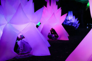 A couple kisses under an illuminated violet tree from "Space Garden" created by Stan Clark representing Astro Botanicals at the Autumn Lights Festival in Oakland on Wednesday, October 12, 2016. (Yesica Prado/Oakland North)
