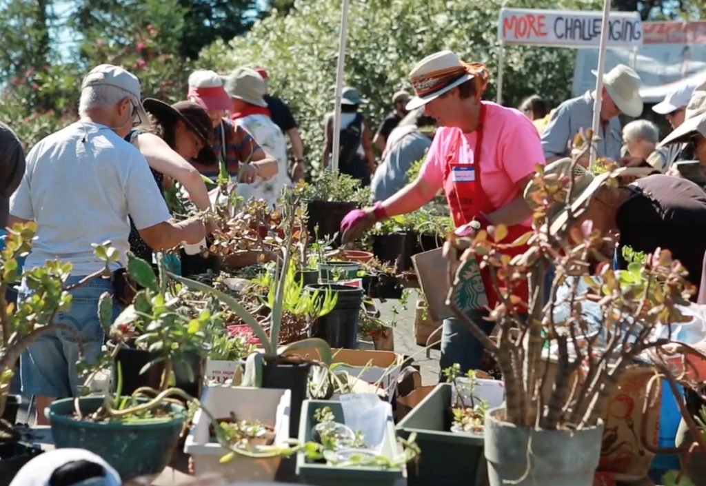 Customers checkout plants at the exchange.