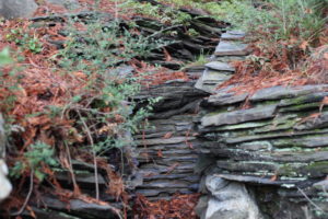 A dried up waterfall at Joaquin Miller Park in Oakland.