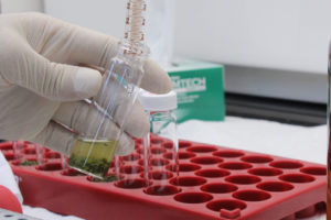Acetone is added tot a small sample of cannabis at Pure Analytics Labs in Santa Rosa. This is done to test pesticide and cannabinoid levels. Under new state regulations, all cannabis sold legally will have to be tested by a licensed laboratory. Photo by Nate Sheidlower.