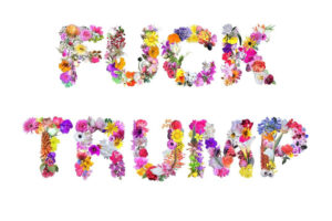 "Flowers for Mr. Trump" is a work by Jenny Odell, who created her image from photos of flowers found at the Mt. Sutro Open Space Preserve in San Francisco, and in the front yards of Grand Lake, Oakland. An homage to the Flower Power of the 1960s, it is also an attempt to render beautiful a message to a man who is, by all accounts, extremely concerned with beauty. (Photo Courtesy 100 days of Action)