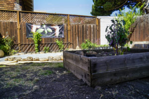 The Memorial Tabernacle Church's garden before it's restoration on Saturday, May 6, 2017. (Yesica Prado/Oakland North)