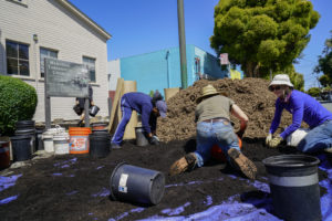 Volunteers scoop compost into buckets from the road in front of the Memorial Tabernacle Church as part of a lawn party to restore the church's garden on Saturday, May 6, 2017. (Yesica Prado/Oakland North)