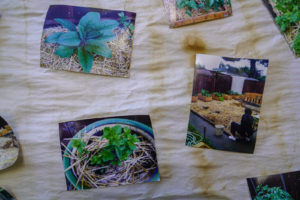 Memorial Tabernacle Church's photos of previous gardens are glued to paper banners outside the backyard doors on Saturday, May 6, 2017. (Yesica Prado/Oakland North)
