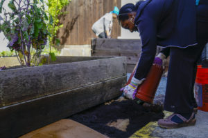 Volunteers lay down the second layer of sheet mulching, compost, at the Memorial Tabernacle Church for a lawn party to restore the church's garden on Saturday, May 6, 2017. (Yesica Prado/Oakland North)