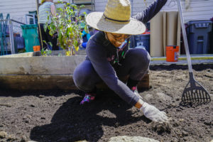 Tiffany E. Grant King ruffles the compost at the Memorial Tabernacle Church for a lawn party to restore the church's garden on Saturday, May 6, 2017. (Yesica Prado/Oakland North)