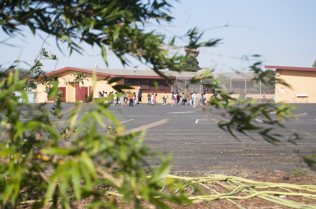Students at Brookfield Elementary School in East Oakland play on the school's blacktop after school. A vegetation barrier was installed at the school by the U.S. Environmental Protection Agency in an attempt to reduce air pollution at the school, which is situated by one of the busiest freeways in the Bay Area.